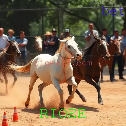 Rinha de galos